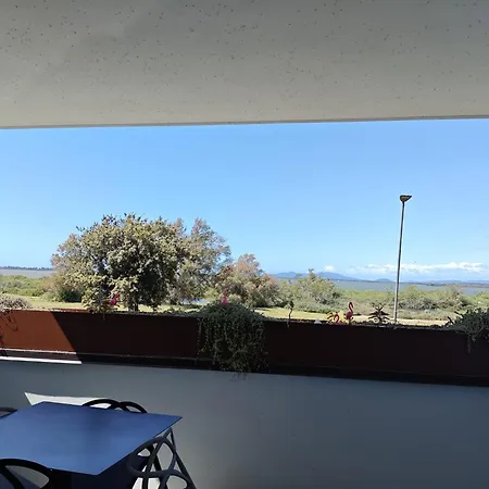 Flamingo View *